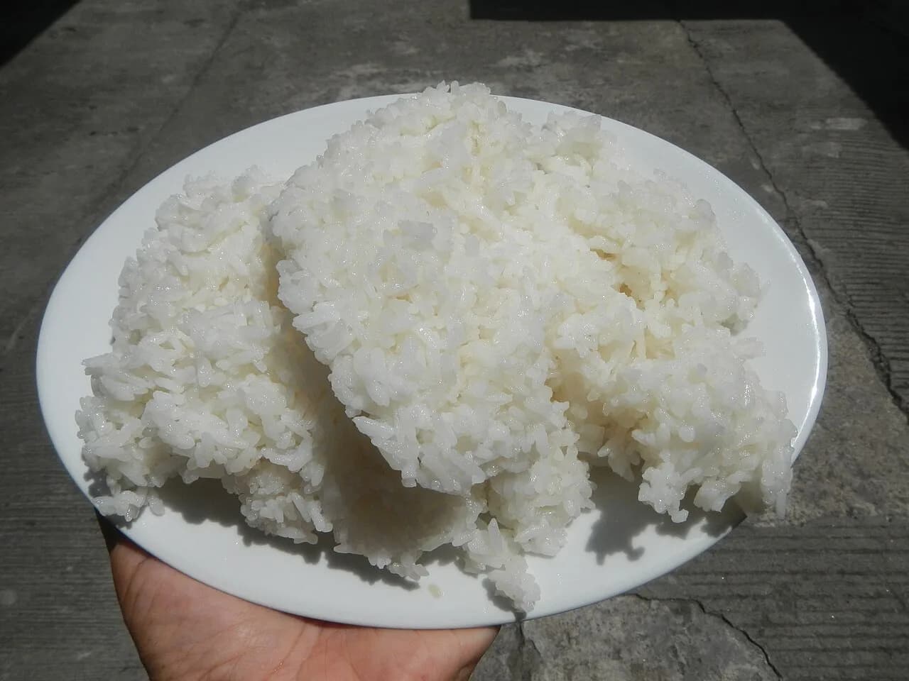 Đĩa cơm trắng đã nấu được cầm trên tay